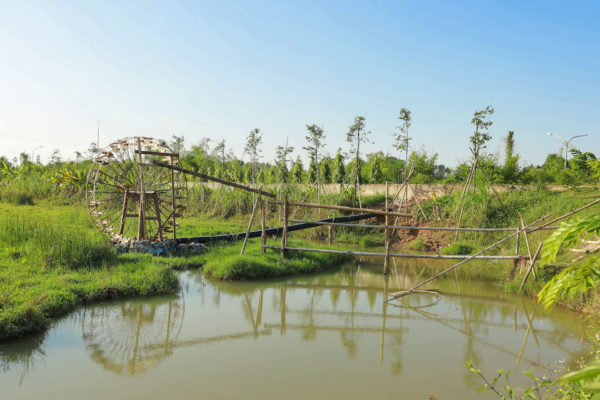 yen trung canh quan 19