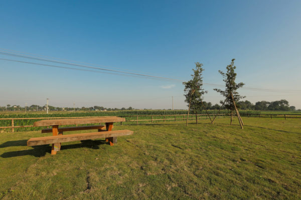 yen trung canh quan 21