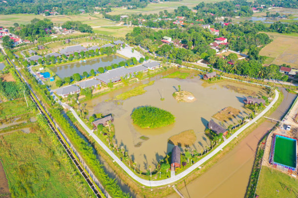 yen trung toan canh 1