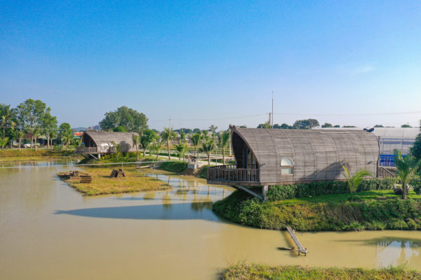 yen trung toan canh 4