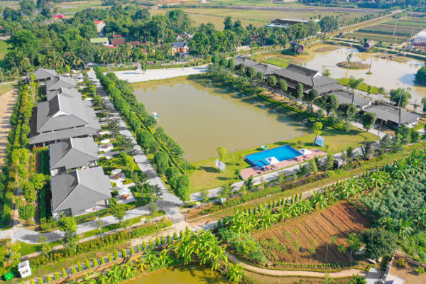 yen trung toan canh 6