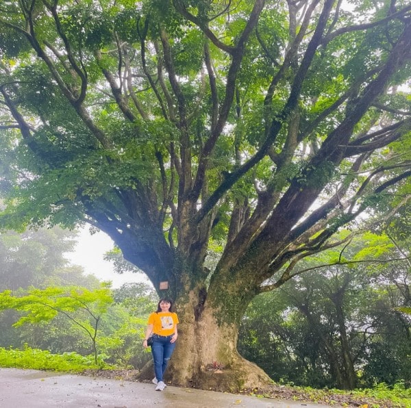 tour dao hon me nghi son 2