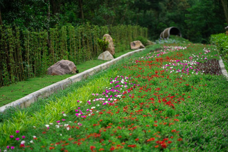 trai nghiem tai anh phat resort 10