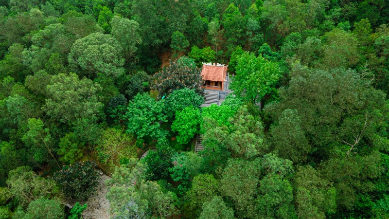trai nghiem tai anh phat resort 5