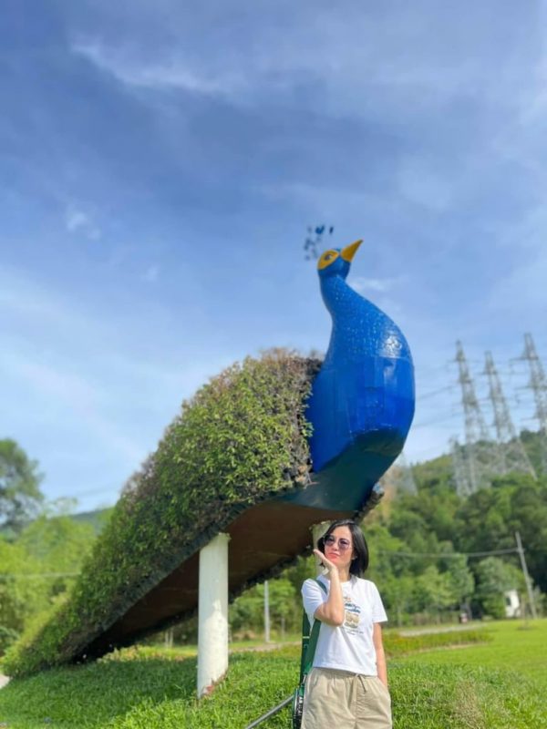 du lich thanh hoa mua dong 14