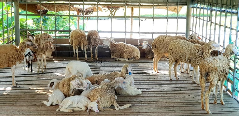 tour du lich thanh hoa 3 ngay 2 dem 4