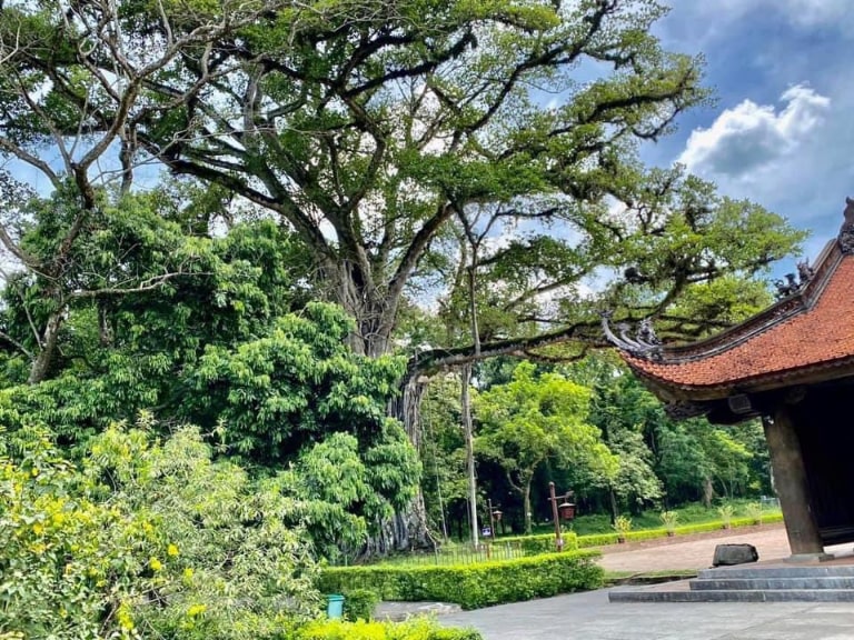 tour thanh hoa 1 ngay 1