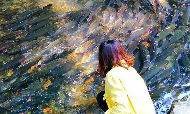 tour thanh hoa 1 ngay 2