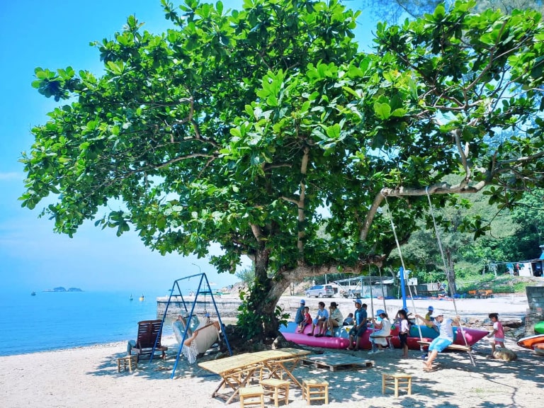 tour thanh hoa 1 ngay 8