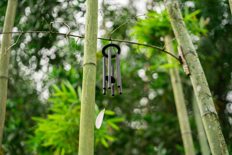 khu du lich sinh thai thanh hoa 12