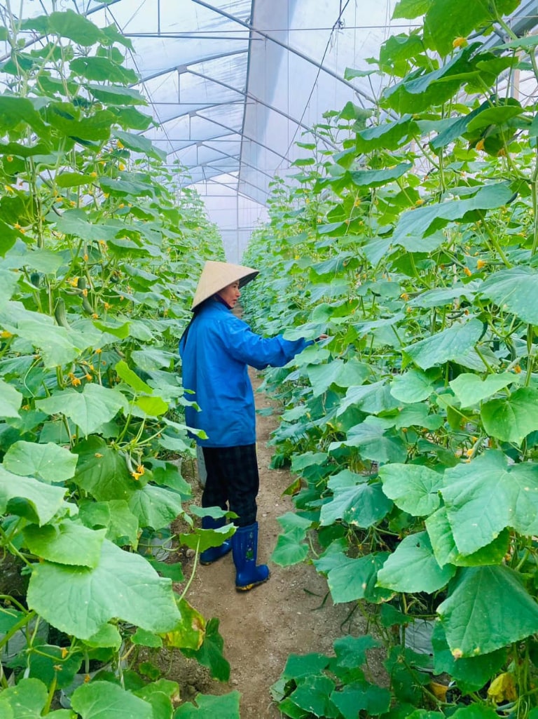 khu du lich sinh thai thanh hoa 5