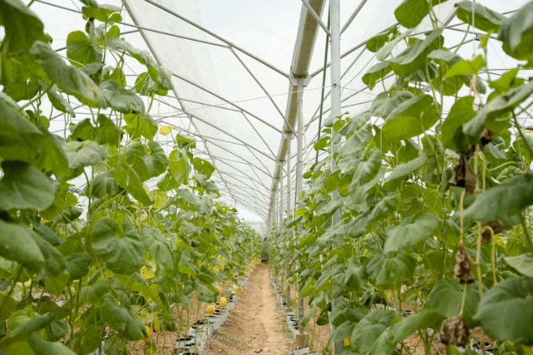 tour du lich lang yen trung 1