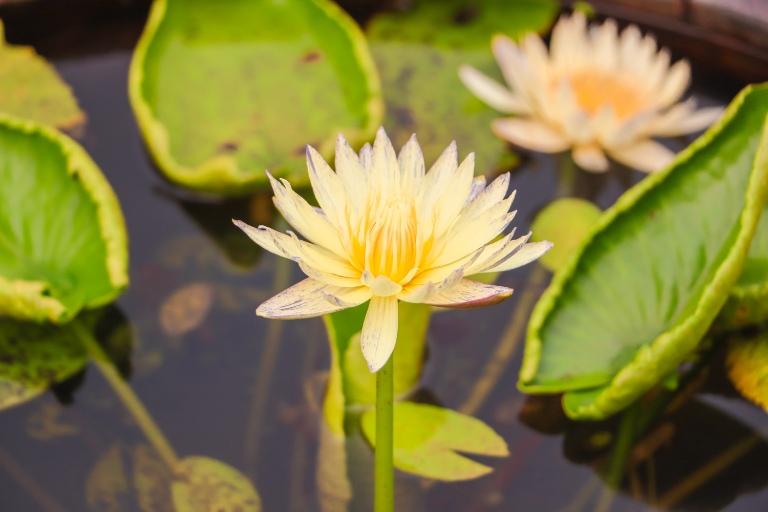 tour du lich lang yen trung 14