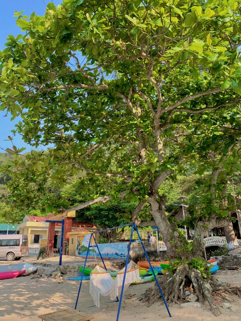 xu huong du lich he nam 2025 2 xu huong du lich he nam 2025 2