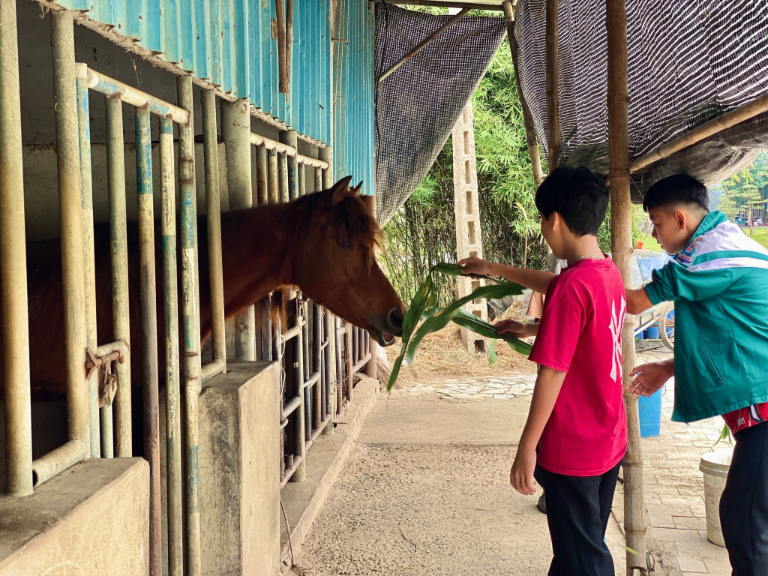 chuong trinh trai nghiem ngoai khoa 15