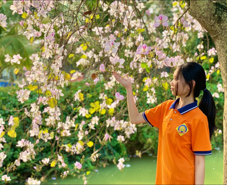 chuong trinh trai nghiem ngoai khoa 9