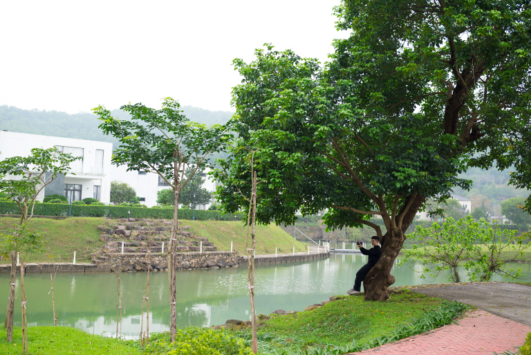 xu huong du lich he 2026 5